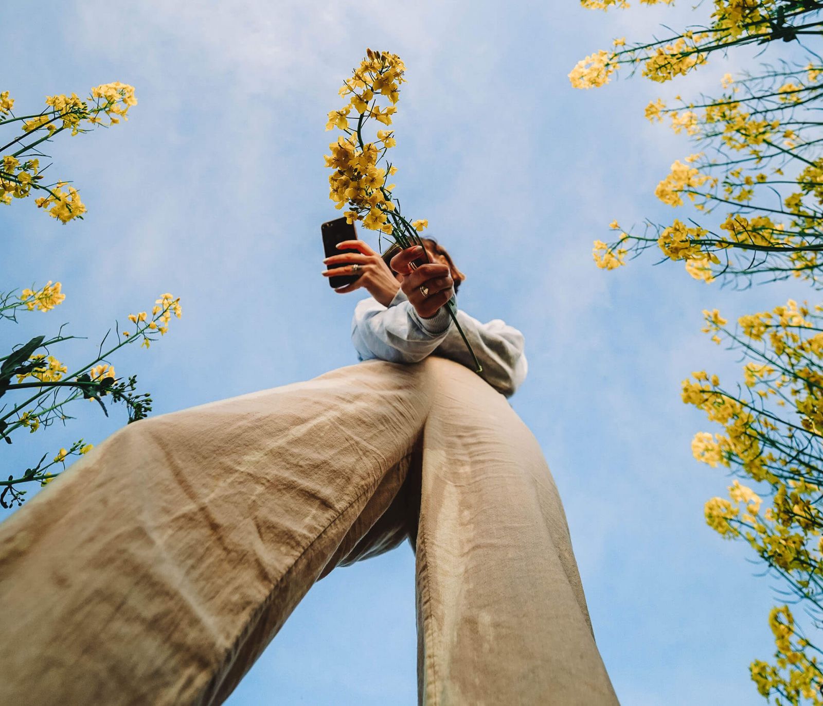 Rhythms and voices Modern music works